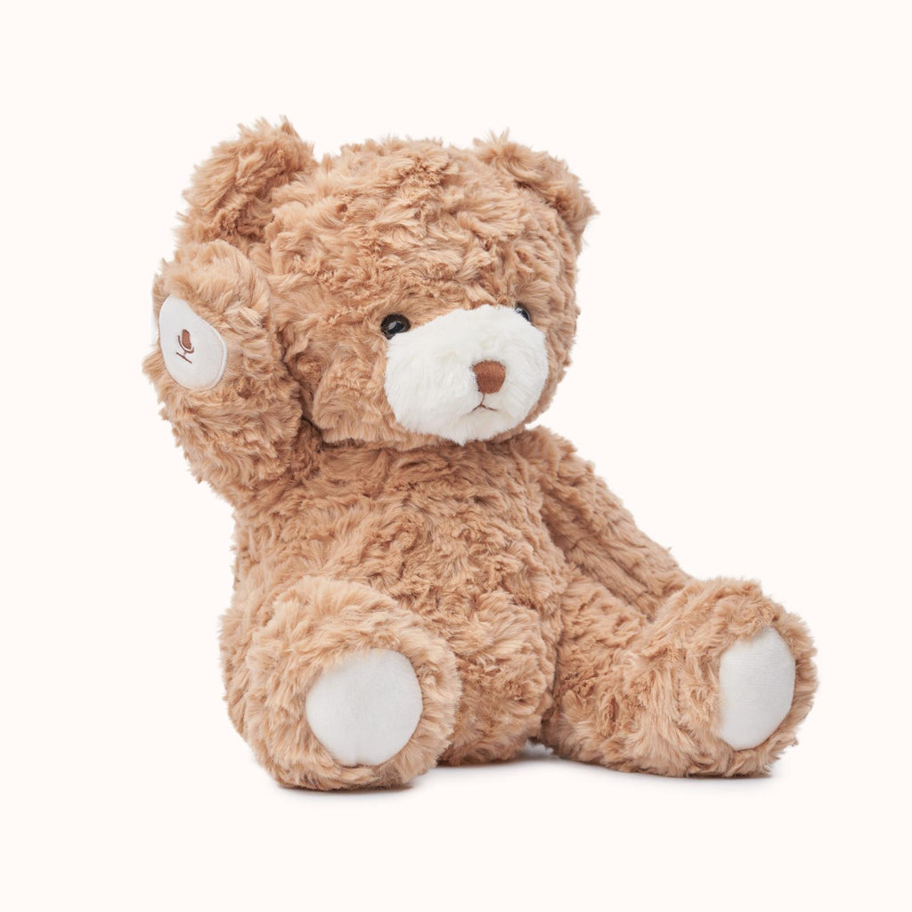 Ebloma AI Interactive Bear