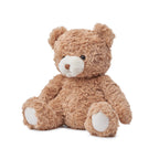 EBLOMA AI Bear front view plush toy.