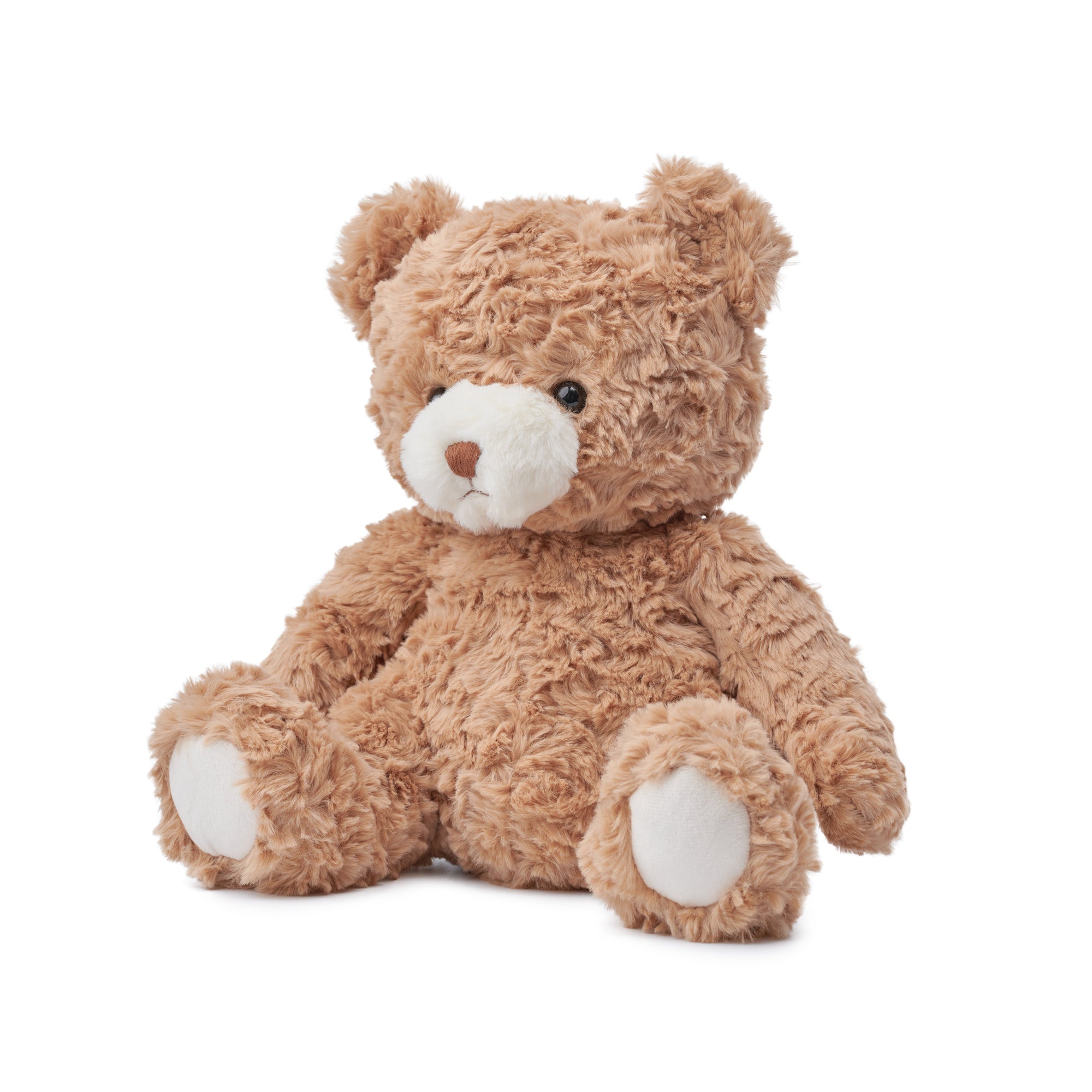 EBLOMA AI Bear front view plush toy.