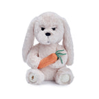 EBLOMA AI Bunny interactive plush toy for teens.