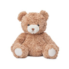 EBLOMA AI Interactive Bear plush toy for kids.